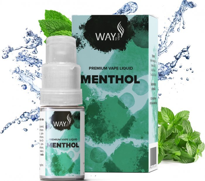 Ostatní Liquid WAY to Vape Menthol 10ml-0mg