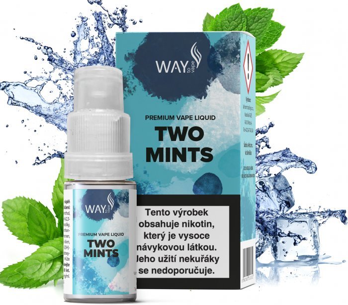 Ostatní Liquid WAY to Vape Two Mints 10ml-12mg