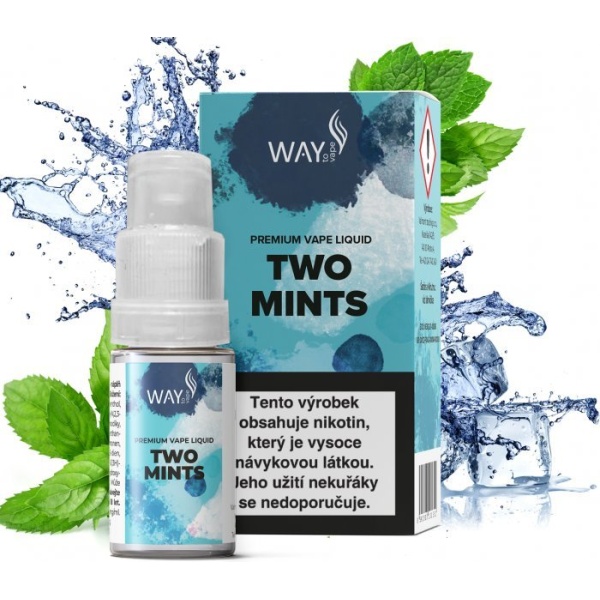 Ostatní Liquid WAY to Vape Two Mints 10ml-18mg